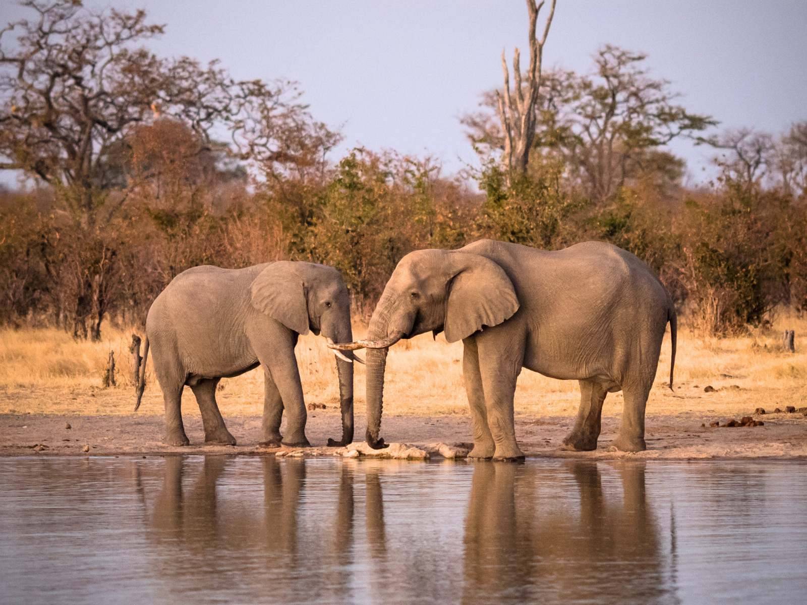 Hwange National Park
