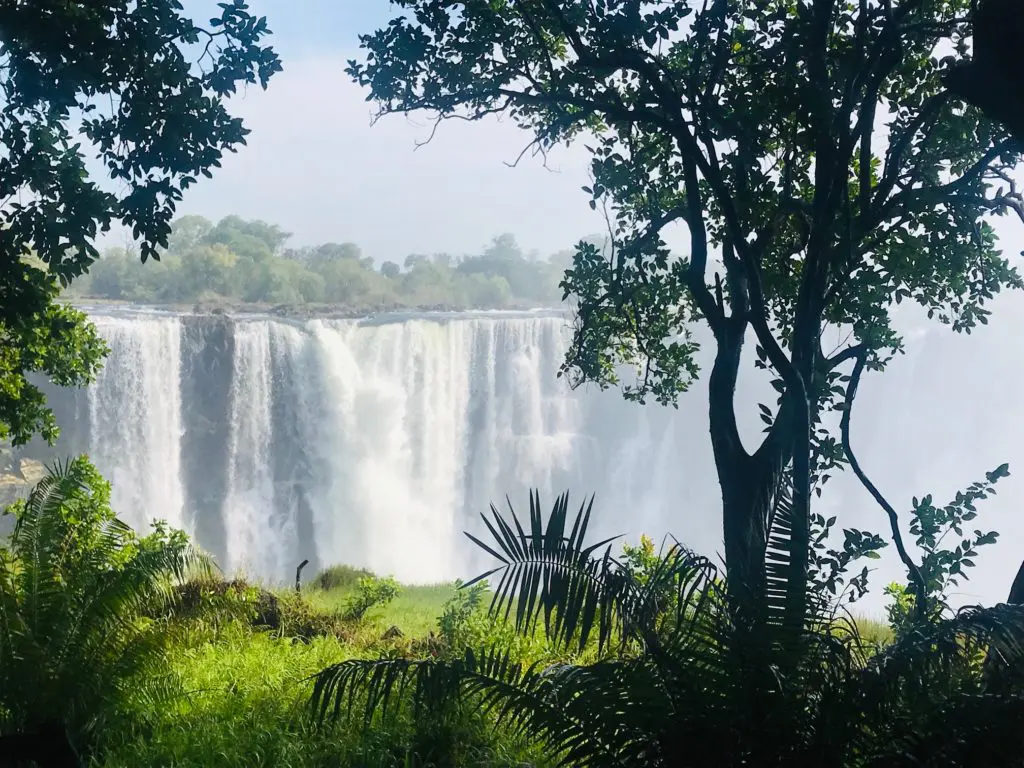 Victoria Falls Rainforest